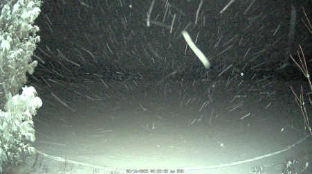 Image from 2025-02-16