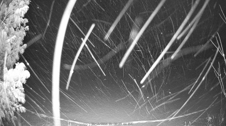 Image from 2025-02-16