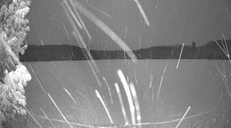 Image from 2025-02-16