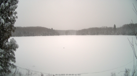Image from 2025-02-16