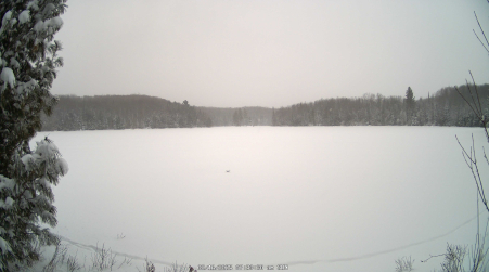 Image from 2025-02-16