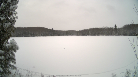 Image from 2025-02-16