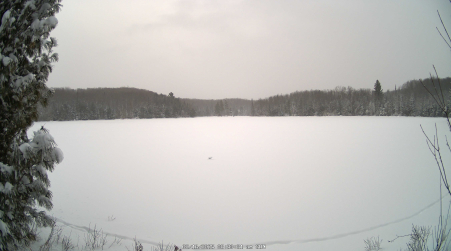 Image from 2025-02-16