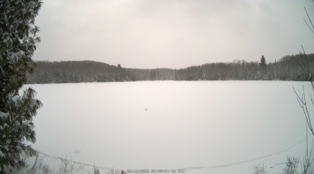 Image from 2025-02-16
