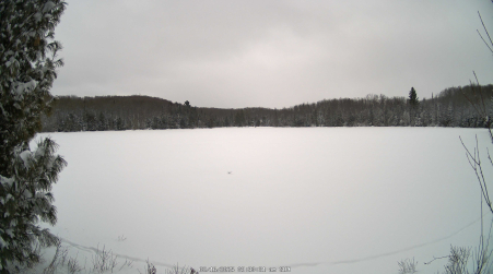 Image from 2025-02-16