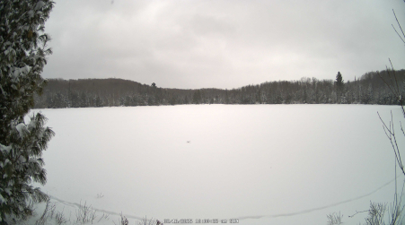 Image from 2025-02-16