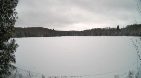 Image from 2025-02-16