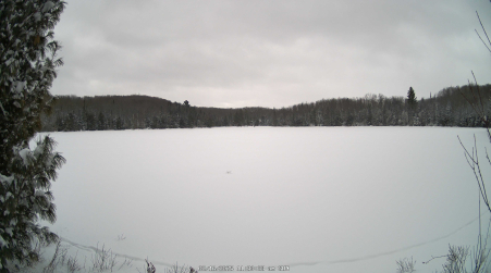 Image from 2025-02-16