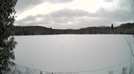 Image from 2025-02-16