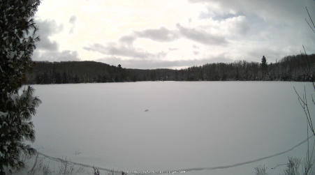 Image from 2025-02-16