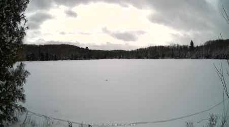 Image from 2025-02-16