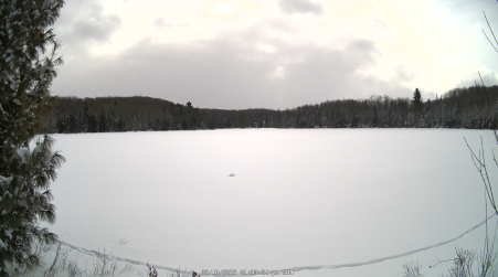 Image from 2025-02-16