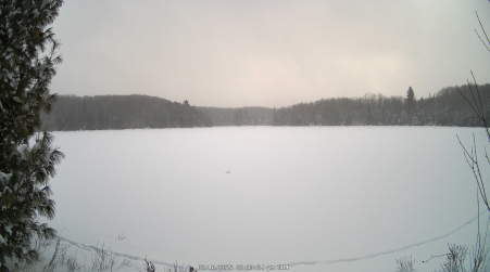 Image from 2025-02-16