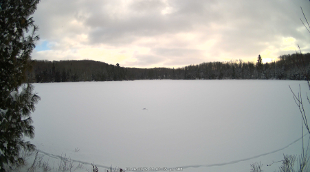 Image from 2025-02-16