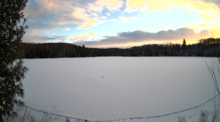 Image from 2025-02-16