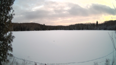 Image from 2025-02-16