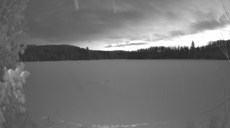 Image from 2025-02-16