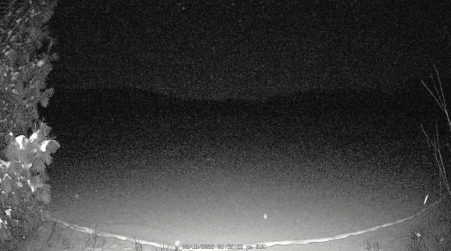Image from 2025-02-16