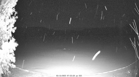 Image from 2025-02-16
