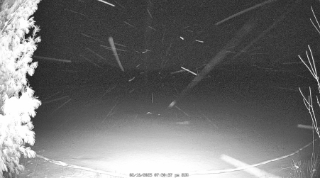 Image from 2025-02-16