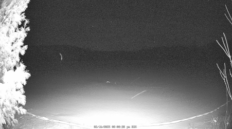 Image from 2025-02-16