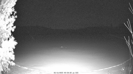 Image from 2025-02-16