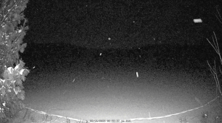 Image from 2025-02-16