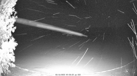 Image from 2025-02-16