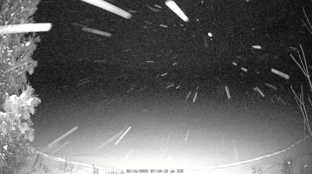Image from 2025-02-16
