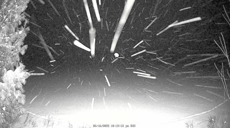 Image from 2025-02-16