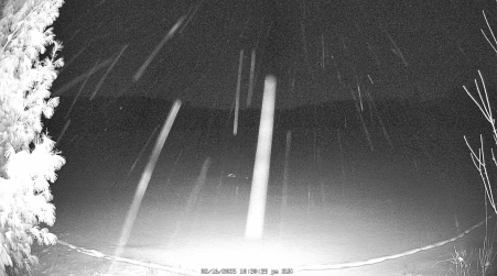 Image from 2025-02-16