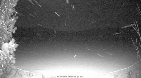 Image from 2025-02-16