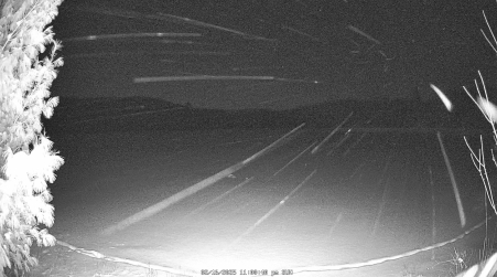 Image from 2025-02-16