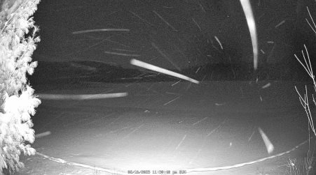 Image from 2025-02-16