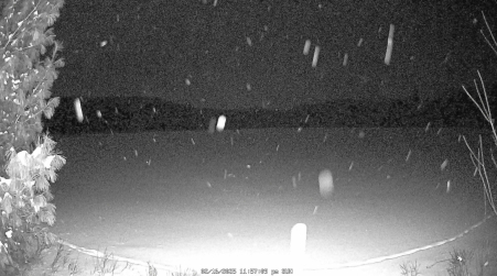 Image from 2025-02-16