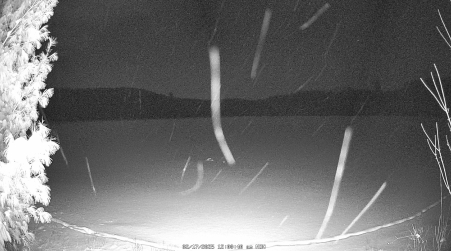 Image from 2025-02-17