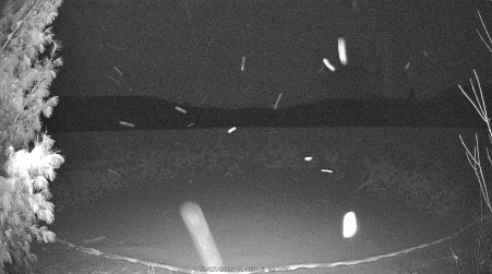 Image from 2025-02-17