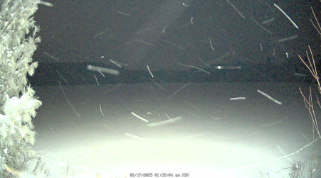 Image from 2025-02-17