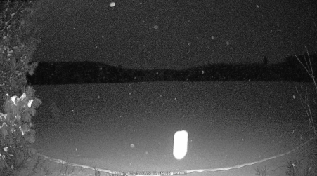 Image from 2025-02-17