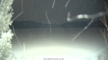 Image from 2025-02-17