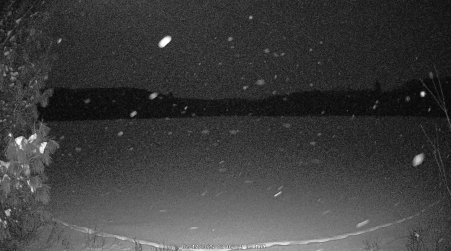 Image from 2025-02-17