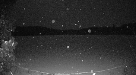 Image from 2025-02-17