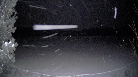 Image from 2025-02-17