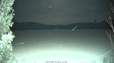 Image from 2025-02-17