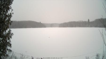 Image from 2025-02-17