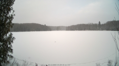 Image from 2025-02-17