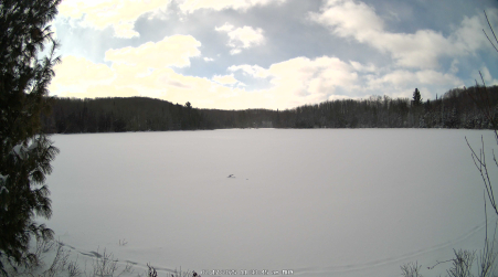 Image from 2025-02-17