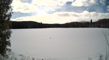 Image from 2025-02-17