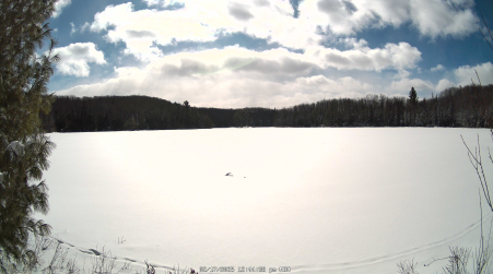 Image from 2025-02-17