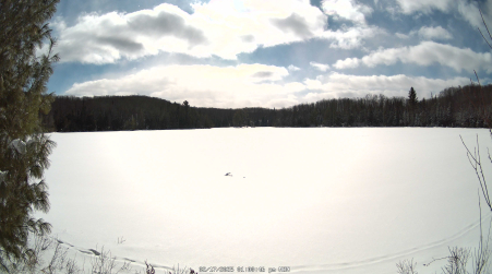 Image from 2025-02-17
